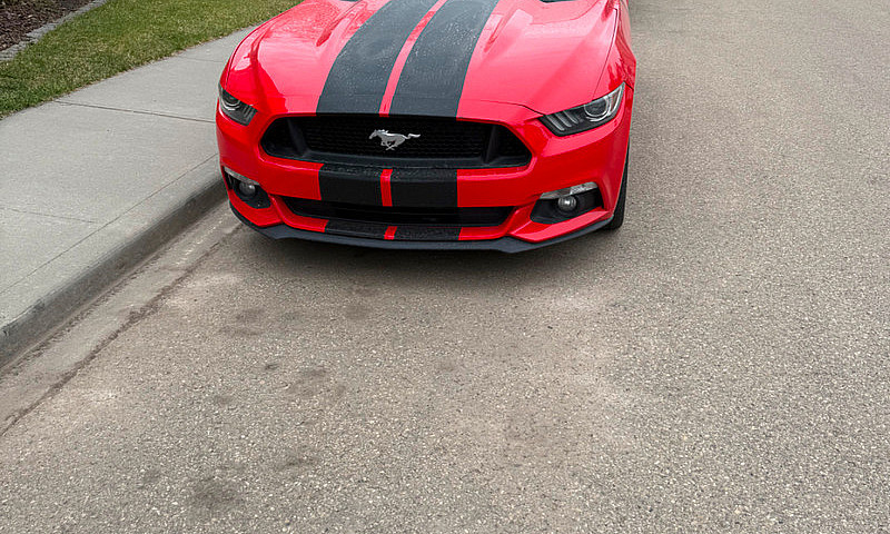 2015 Mustang Ecoboos...