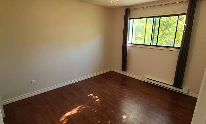 Bright 2 Bedroom Sui...
