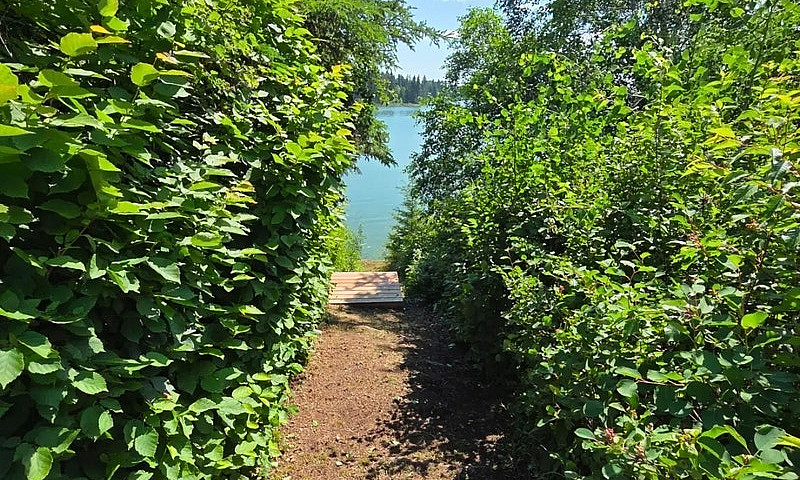 Premium Lakefront Lo...