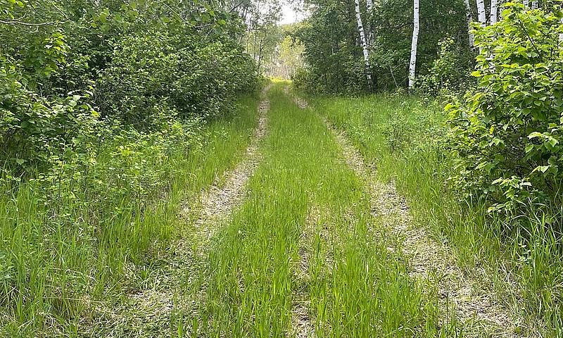 Scenic Areas...
