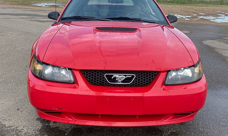 2002 Ford Mustang ...