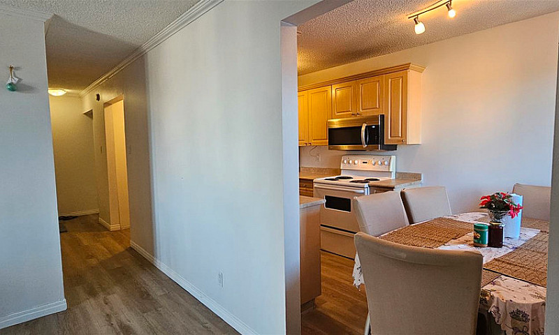 #18, 3809 Luther Pl,...