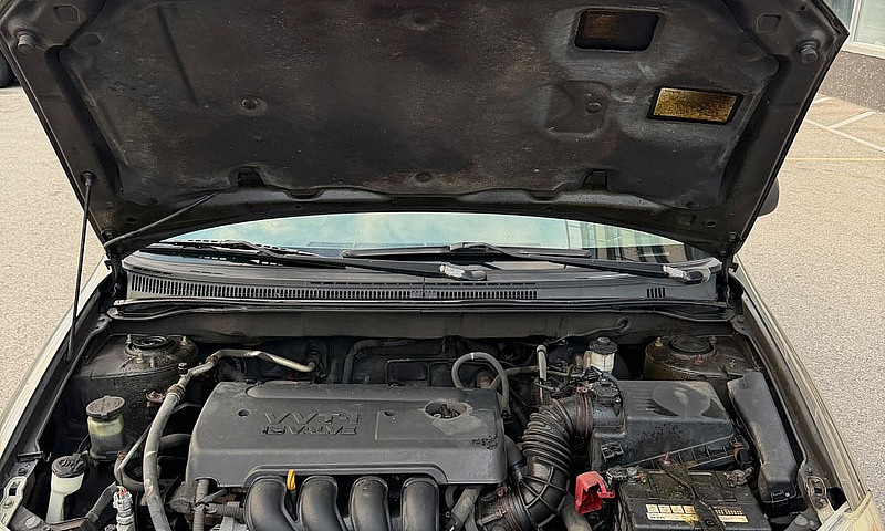 2008 Toyota Corolla ...