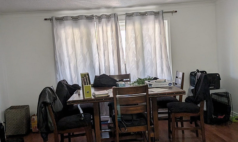 3 Bedroom 1 Bath Nee...