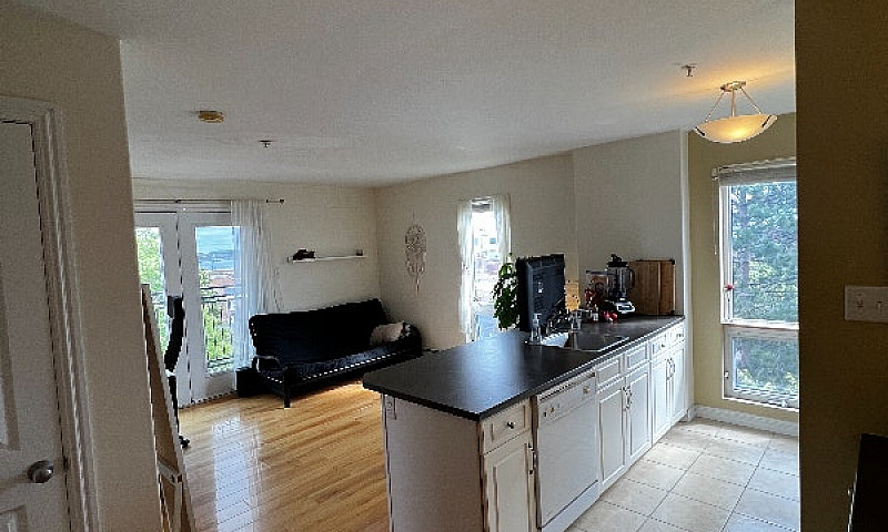 Large 1 Bedroom Apar...