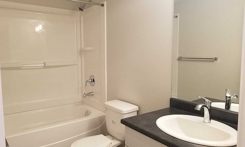 1  Bedroom Suite Bas...