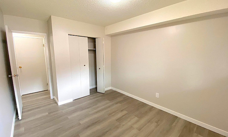 Beautifully Renovate...