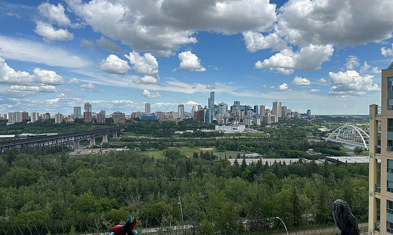 River Valley And Dow...
