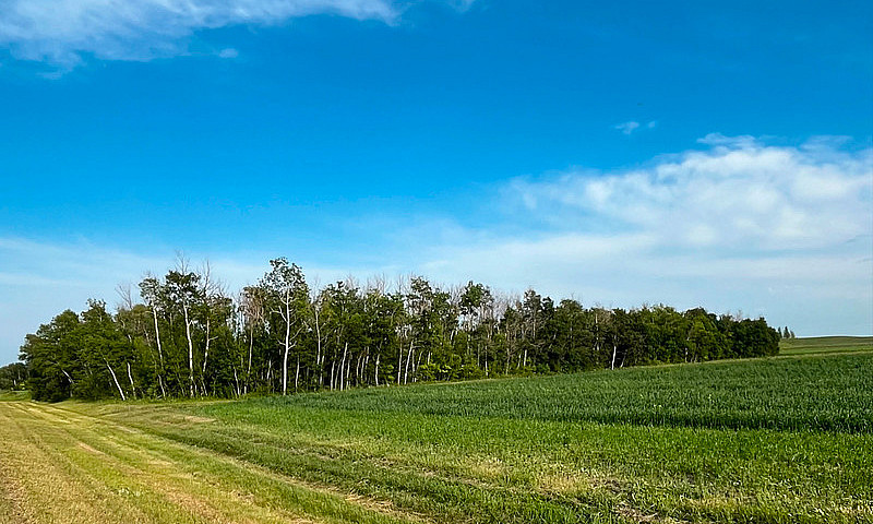 Residential Lot For ...