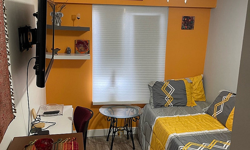 Bright Furnished Roo...