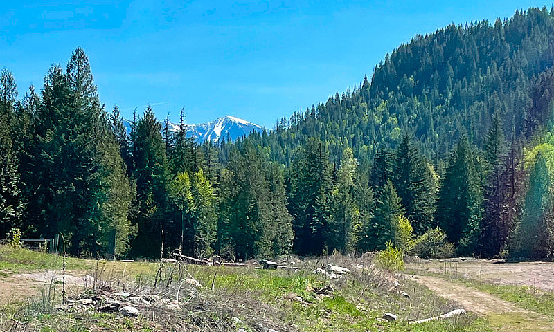 295 Secluded Acres W...
