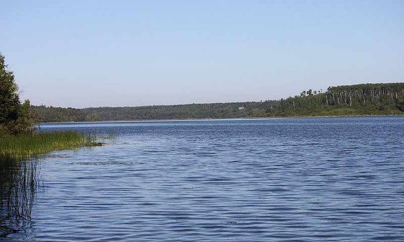 Lakefront Lot - Murp...