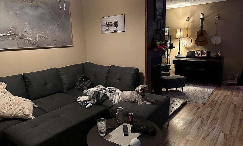 Looking For A Roomma...