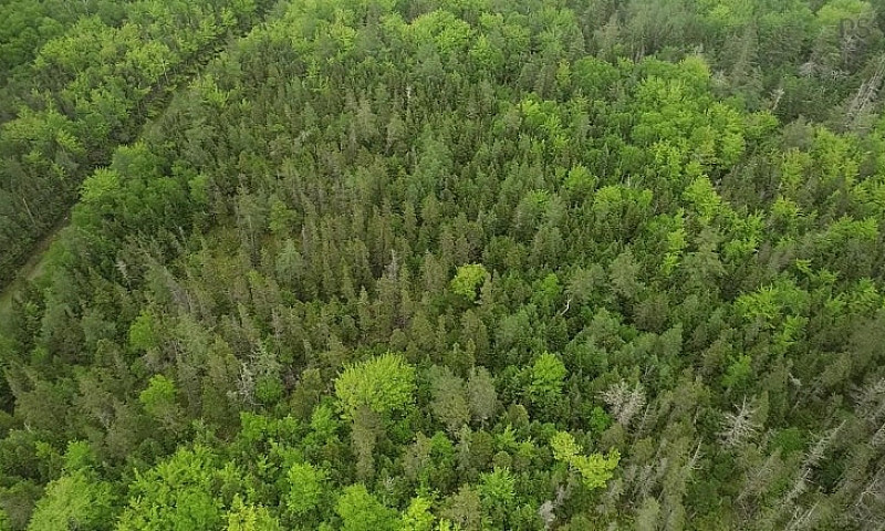 Just Over Three Acre...