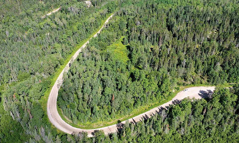 Lot 4 Grassy Lake...
