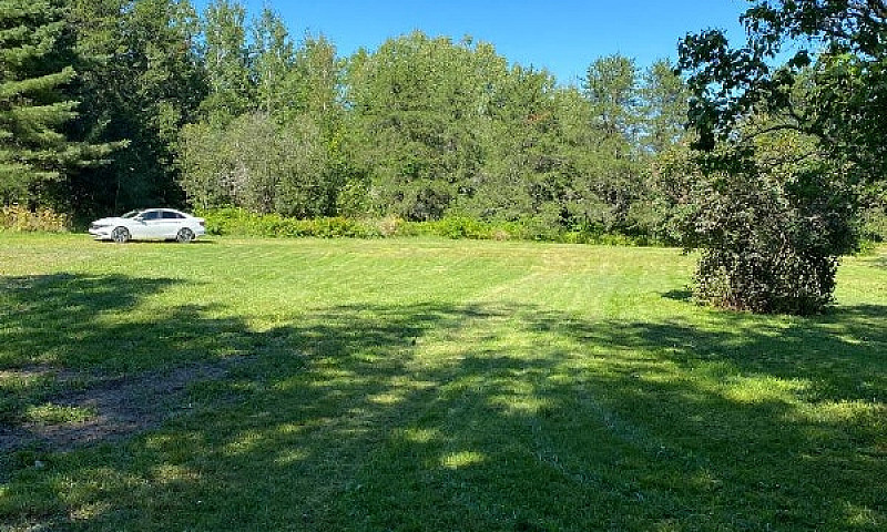 Land 1.16 Acre With ...