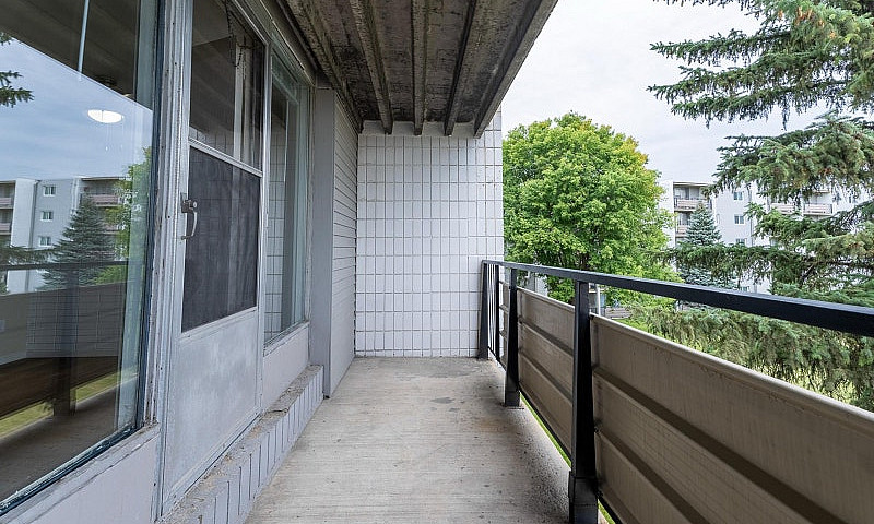 3 Bed 2 Bath Apt Sub...