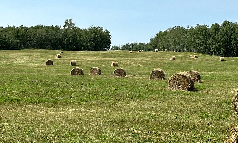 70 Acres For Sale...