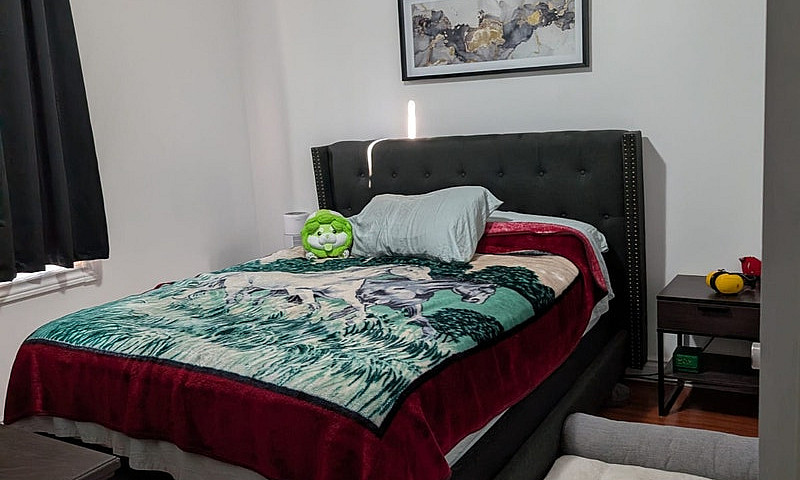 3 Bedroom 1 Bath Nee...