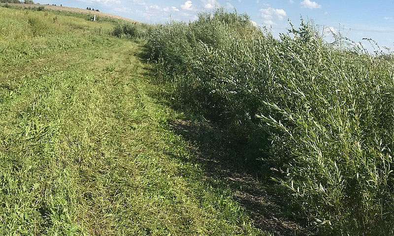Acreage Minutes From...