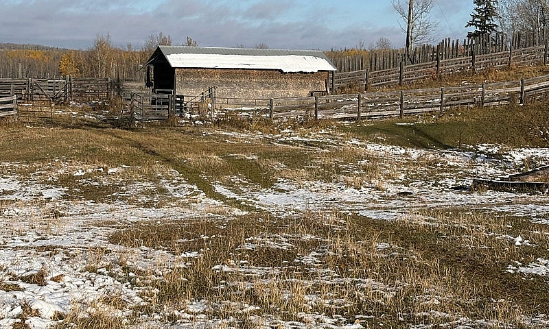 Pasture Quarter With...