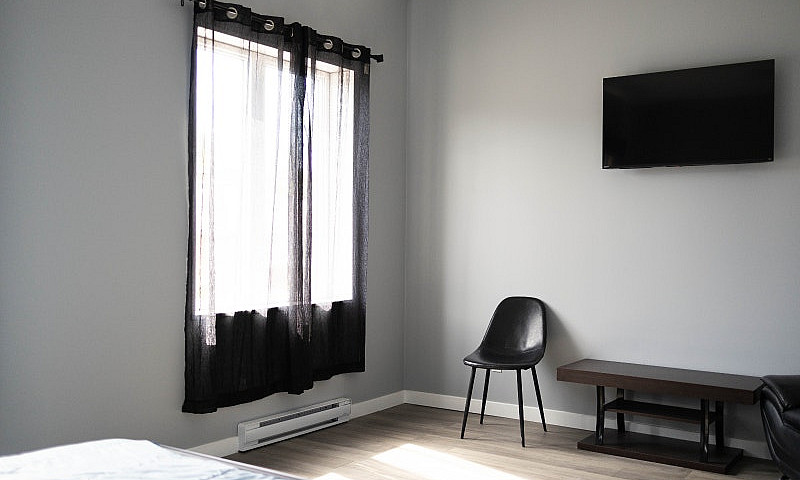 1 Bed + 1 Bath | Ren...
