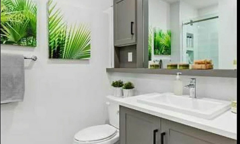2 Bed 2 Bath Apartme...