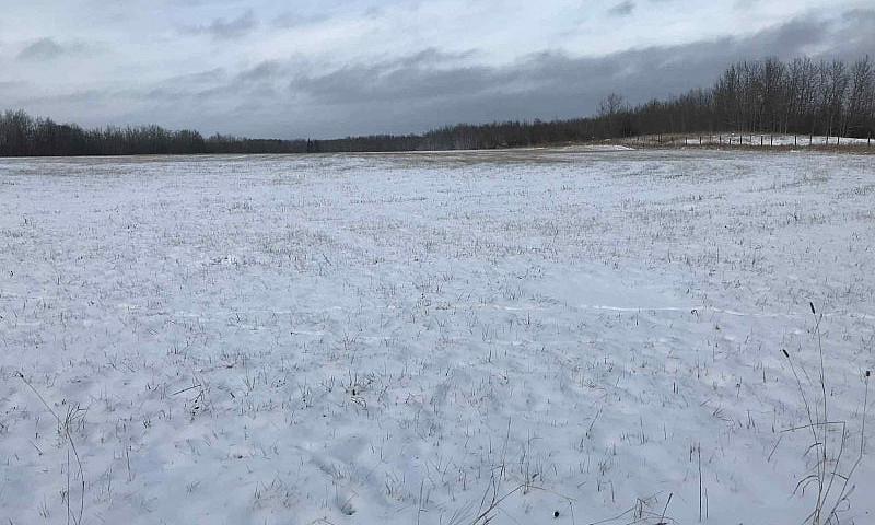 125 Acres -/+ Farm L...