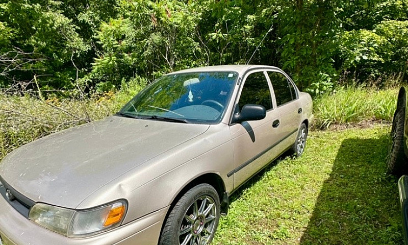 1994 Corolla & 1986 ...