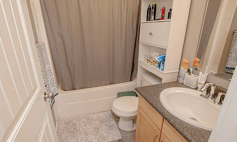 3 Beds 2 Baths - Hou...