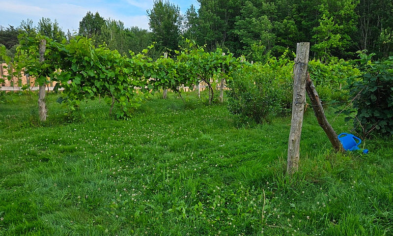 Hause For Sale By Ow...
