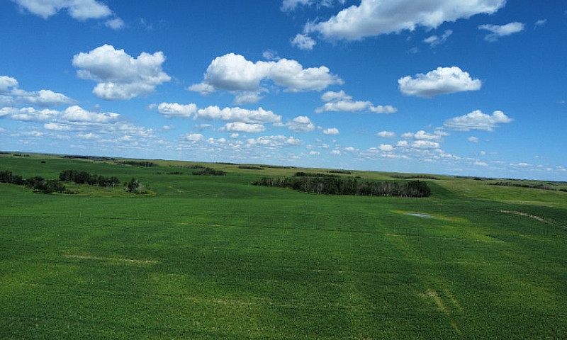 6,133 Acres For Sale...