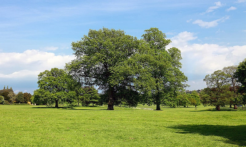 Wanted: Vacant Land ...