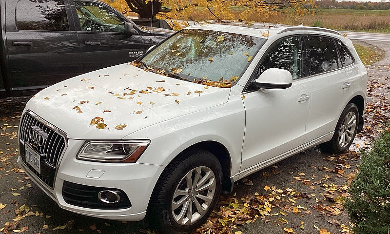 Audi Q5. Awd...