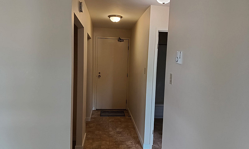 1-Bedroom Apartment ...