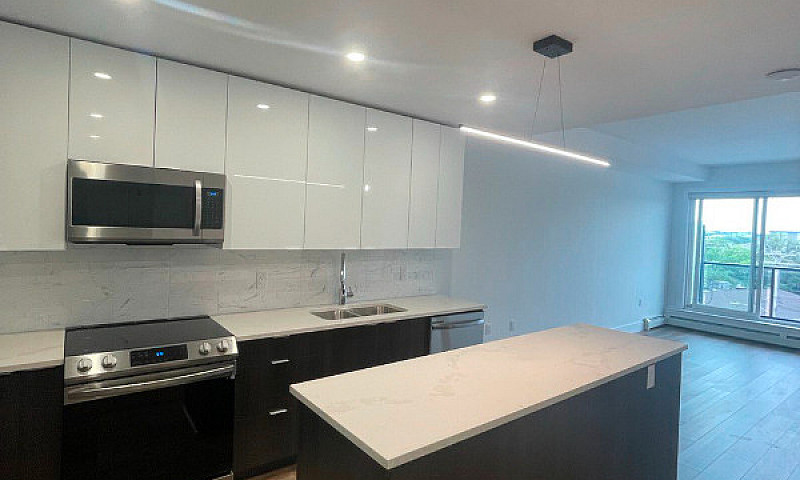1 Bed 1 Bath Modern ...