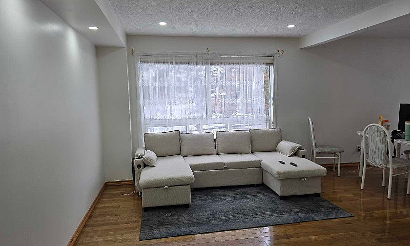 Entire Basement For ...