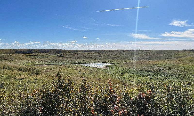 50 Acre Future...