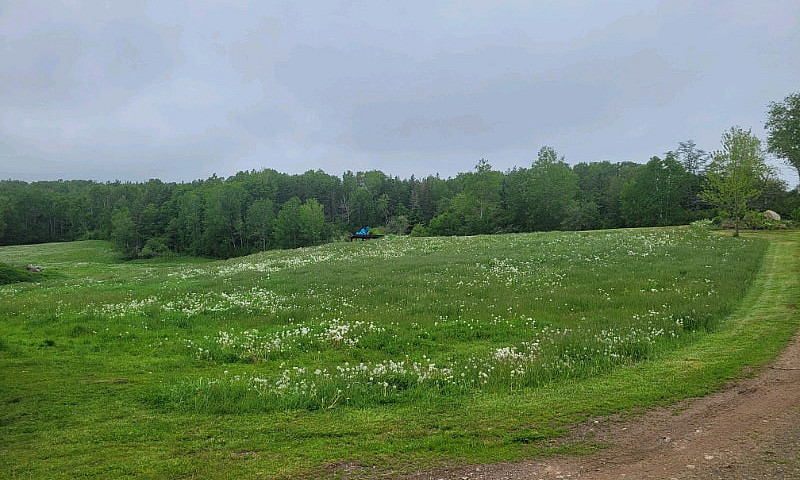 Horse/ Hobby Farm...