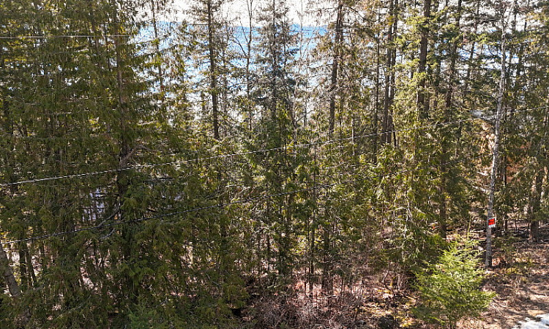 Shuswap Building Lot...