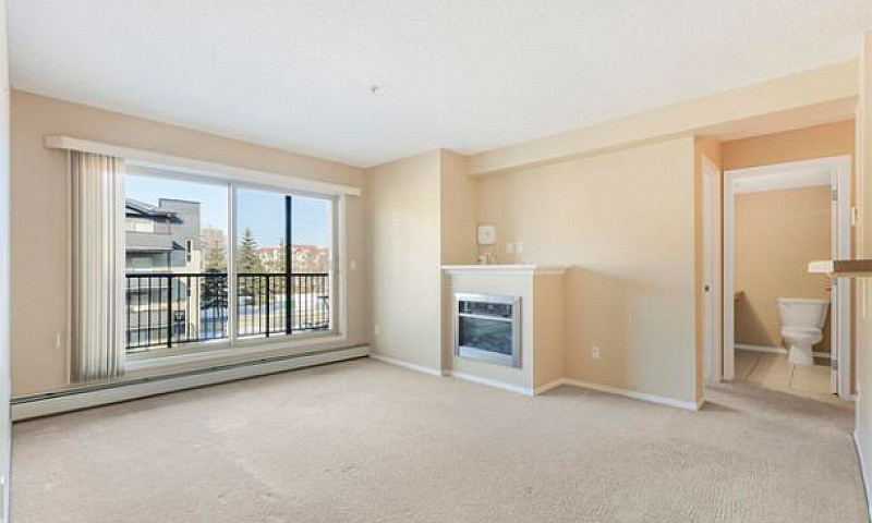 Stylish, Move-In Rea...