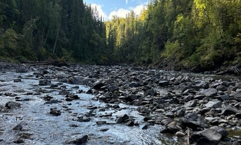 Cottonwood River Gol...