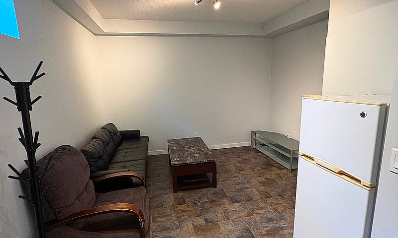 Furnished 1-Bedroom ...