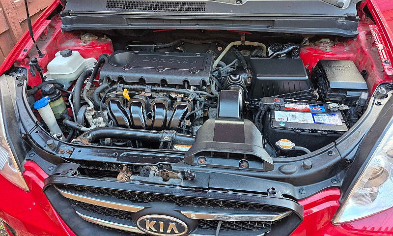 New Safety 2009 Kia ...