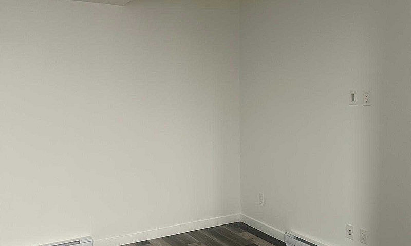 Legal Basement Suite...
