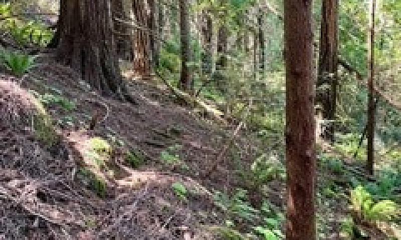 1.34 Acre Building L...