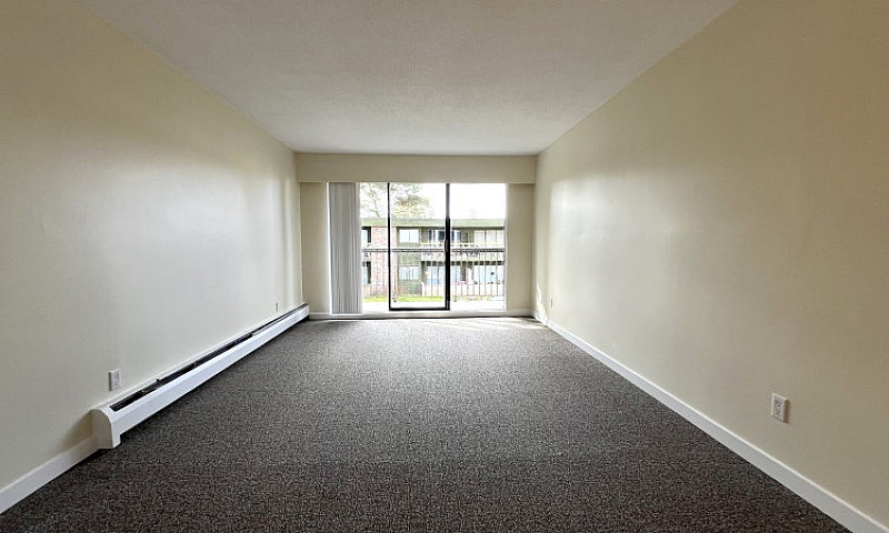 Rental Incentive! Re...