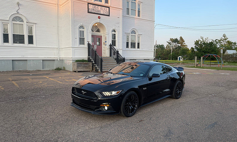 2015 Mustang Gt Pp1 ...
