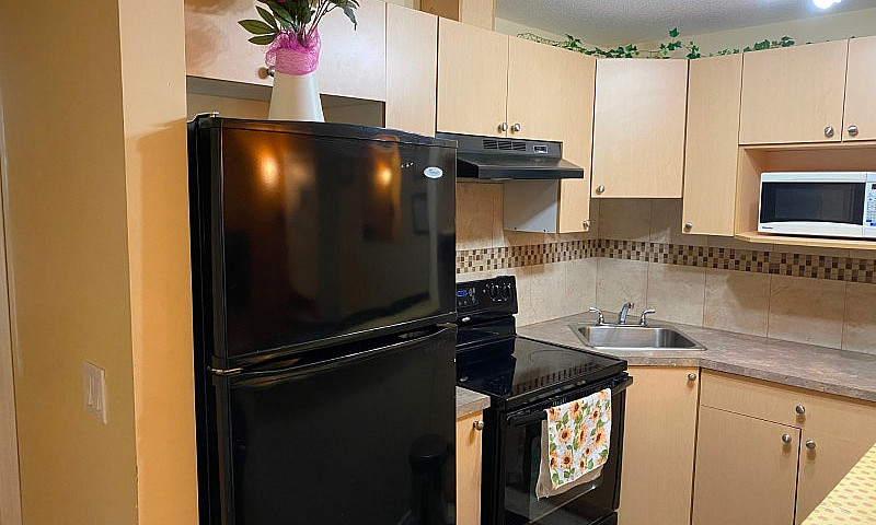Fully Furnished  Bas...