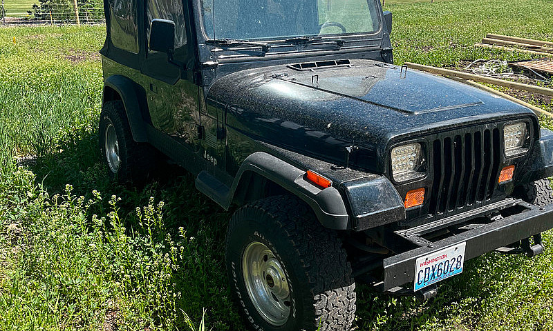 1994 Jeep Wrangler Y...